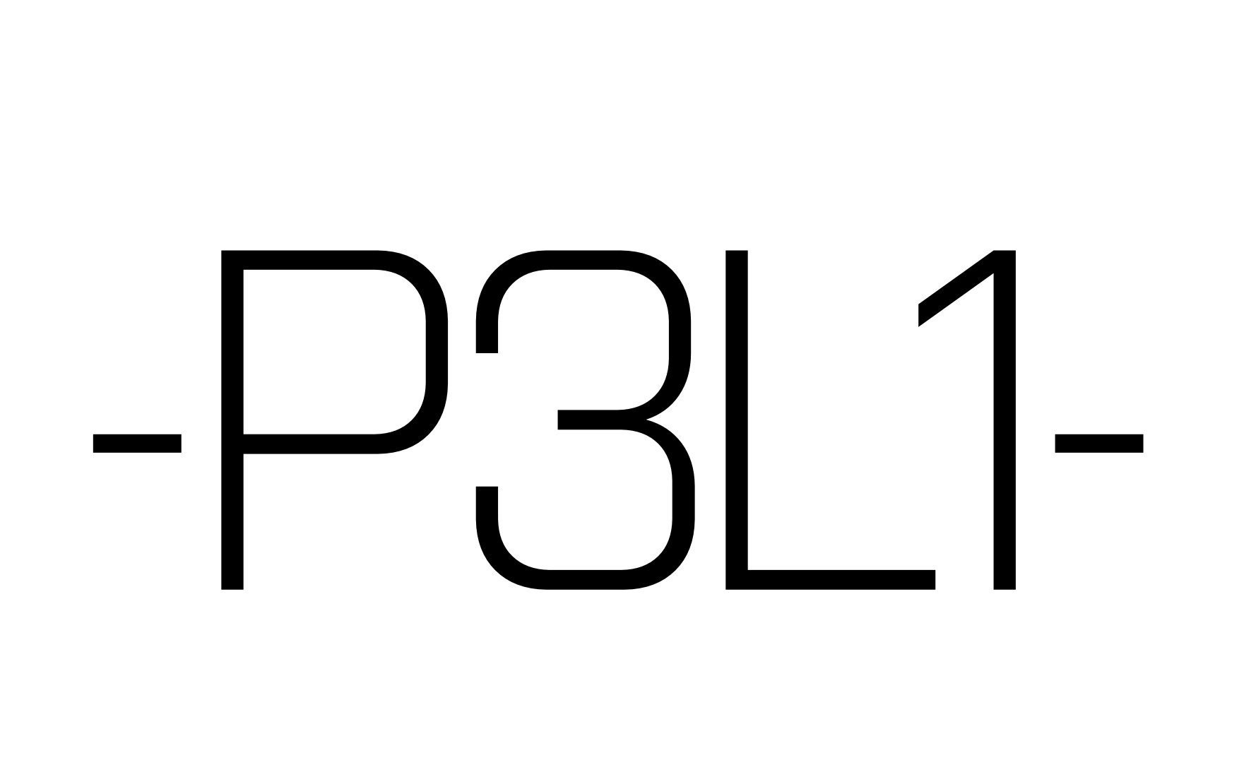 P3L1